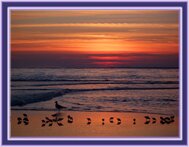 Photos of Ocracoke Island NC slide show