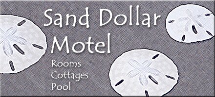 Sand Dollar, Motel, Ocracoke, Island, NC, Outer Banks, vacation