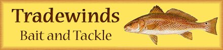 Tradewinds bait and tackle Ocracoke fishing report